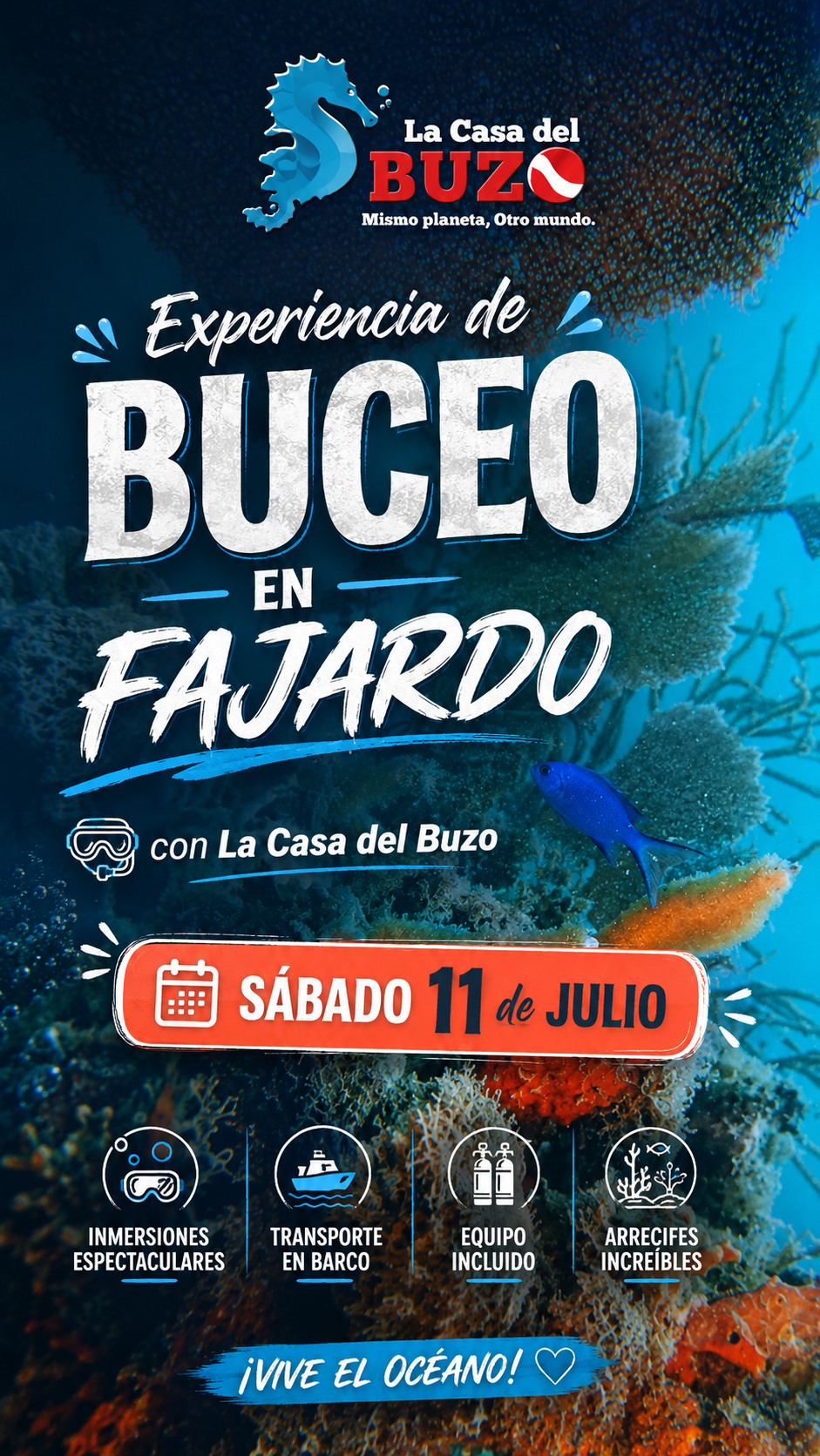 Experiencia de Buceo en Fajardo