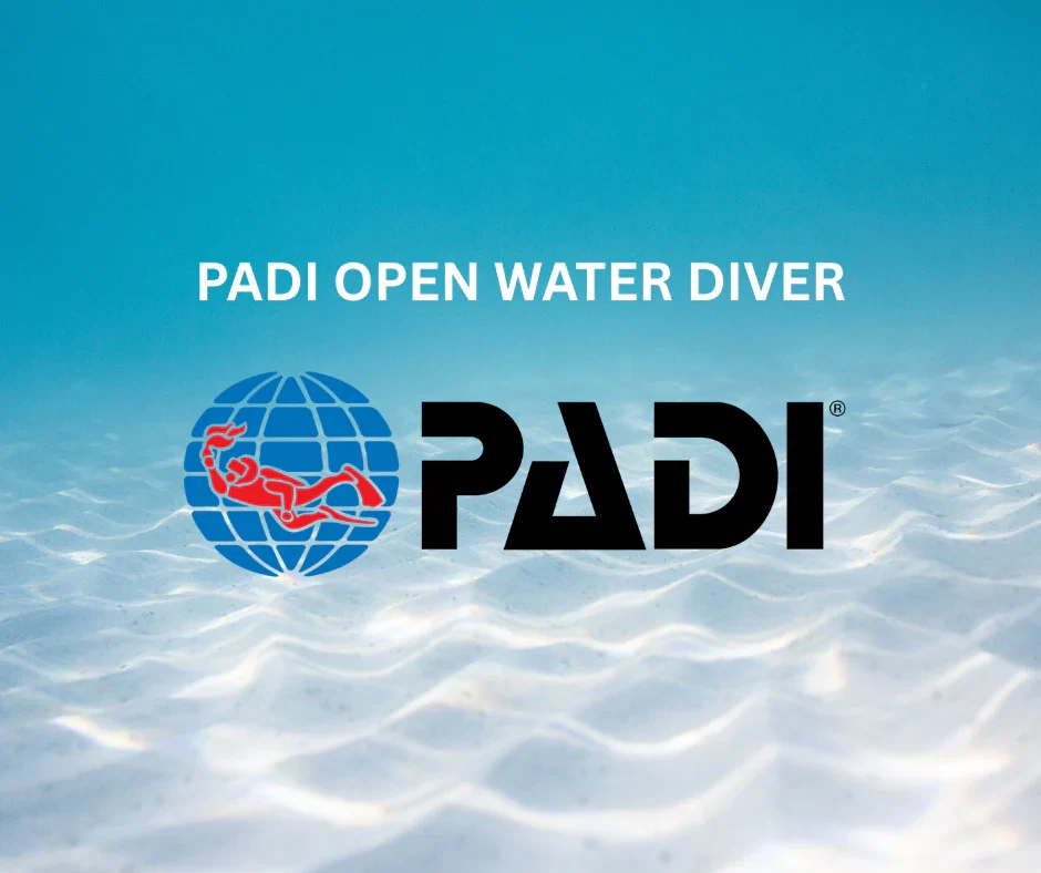Curso PADI Open Water
