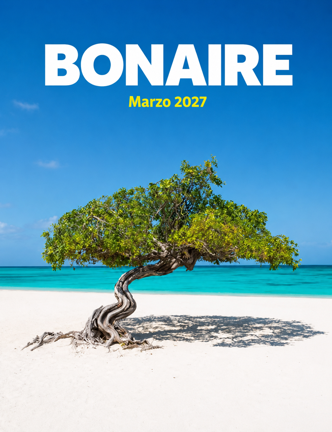 Pre-Registro Bonaire 2027