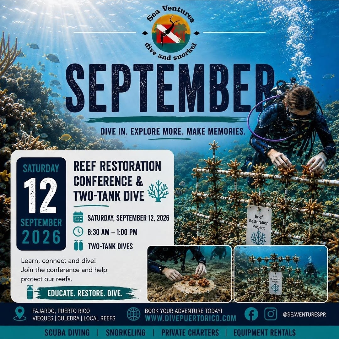Restauración de Corales en Culebra