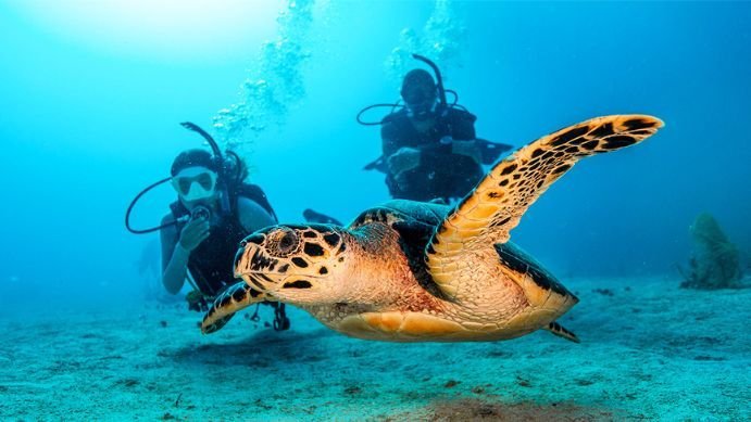 PADI OPEN WATER COURSE