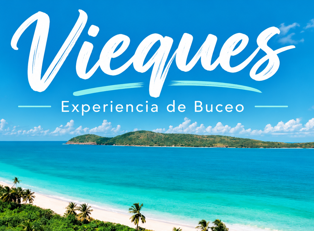 Experiencia de buceo en Vieques