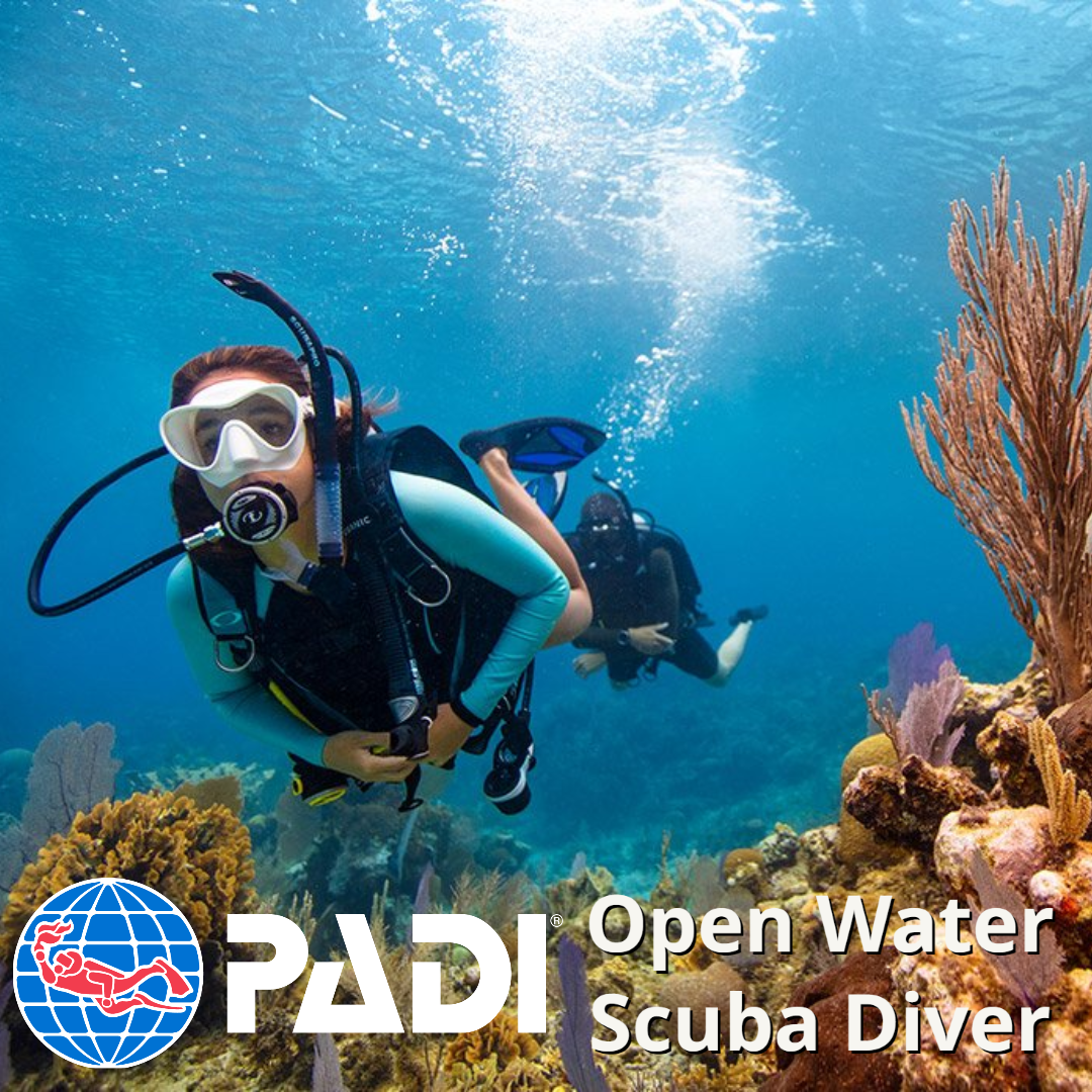 Curso PADI Open Water